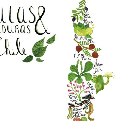 Mapa de Chile con Frutas y Verduras - Lámina-1