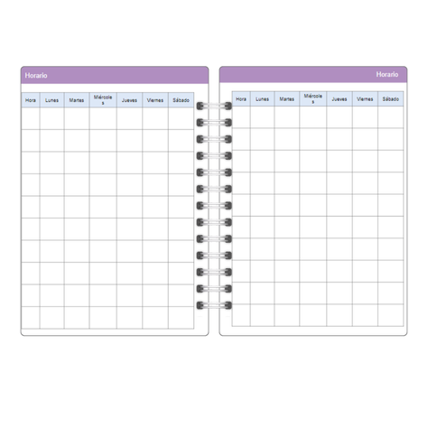 Agenda docente profesora Anual Papelería Personalizada 14-3