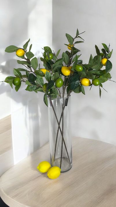 Rama De Limon 95cm-2