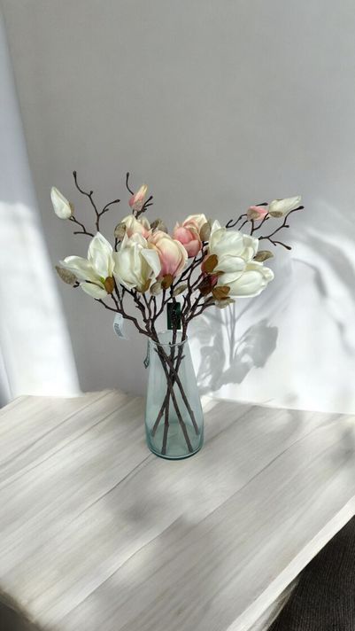 Magnolia Blanca 50cm-3