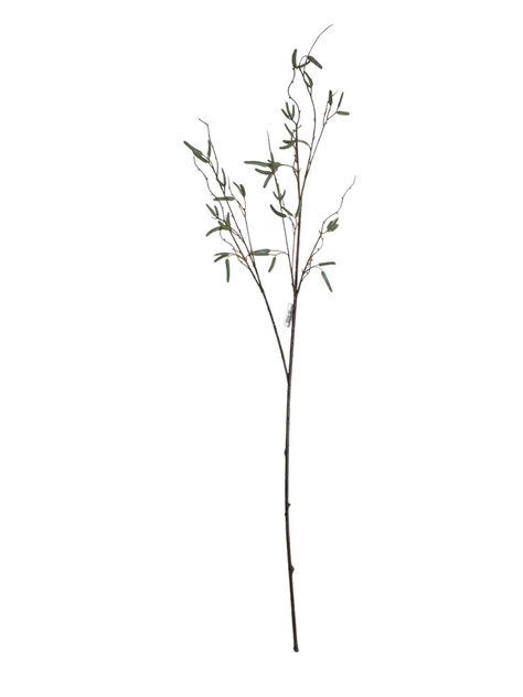 Rama Abedul 125cm-0