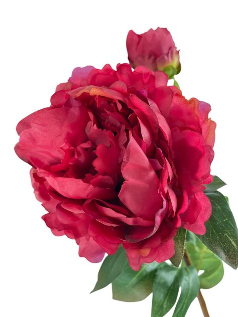 Peonia Roja Con Boton 57cm-2