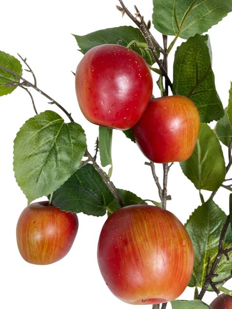 Rama De Manzana 95cm-2