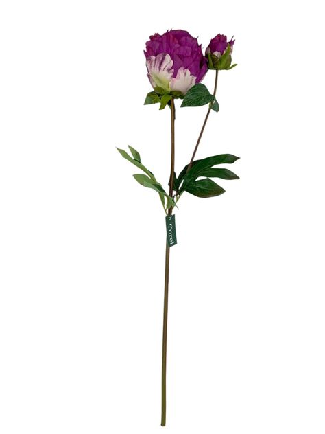Peonia Cerrada Fucsia 57cm-0