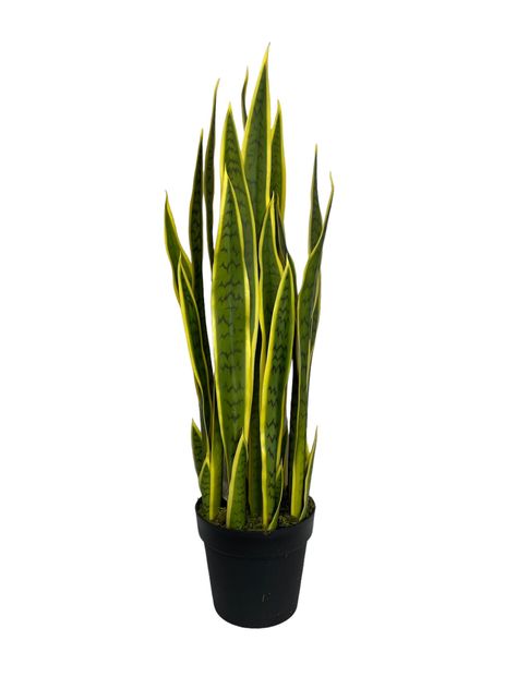 PLANTA DECORATIVA COREL SANSEVIERA VERDE - AMARILLA 90CM-0
