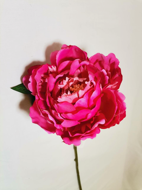 Flor Decorativa Peonia Fucsia 45Cm-0