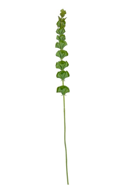 RAMA DECORATIVA COREL CAMPANA IRLANDESA 89CM-2
