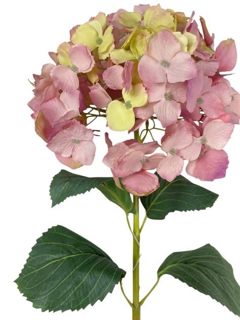 Hortensia Rosa Amarillo Con Hojas 82cm-1