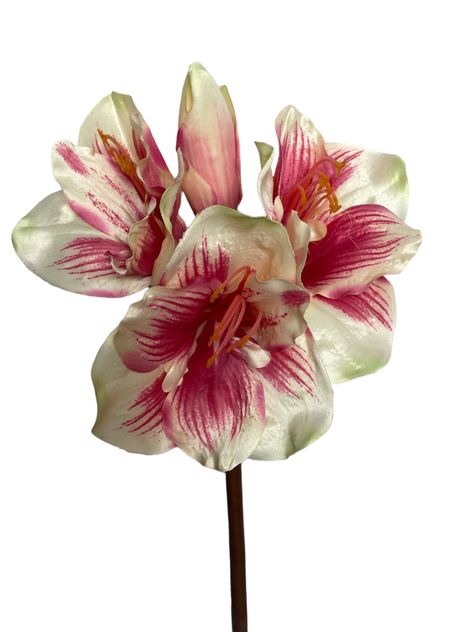 Flor Decorativa Corel Amaryllis Rosa-Blanca 83cm-1