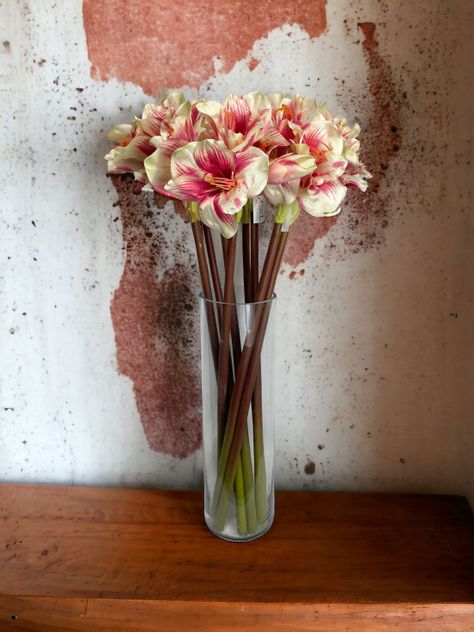 Flor Decorativa Corel Amaryllis Rosa-Blanca 83cm-3
