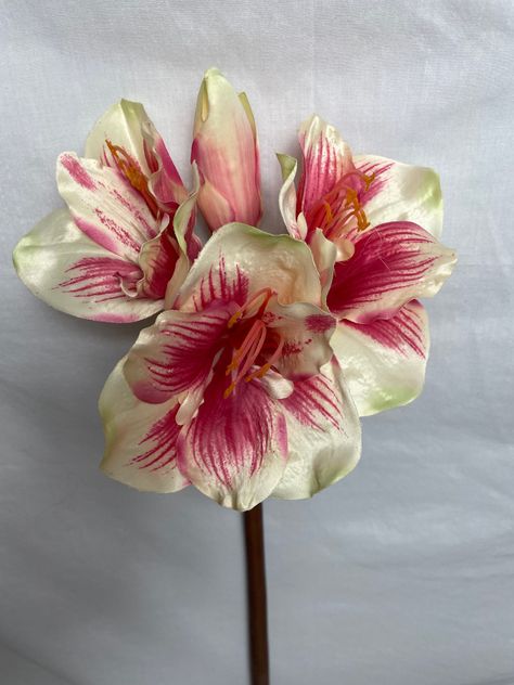 Flor Decorativa Corel Amaryllis Rosa-Blanca 83cm-4