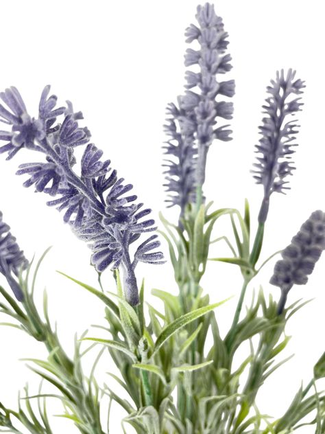 RAMO DECORATIVO LAVANDA 46CM COREL-1