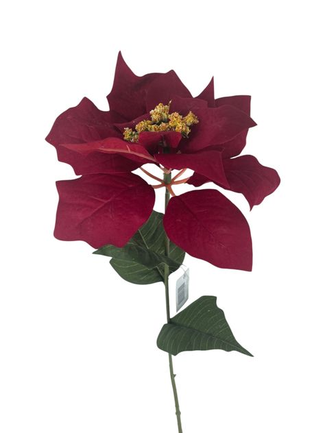 Poinsettia Roja 75cm-0