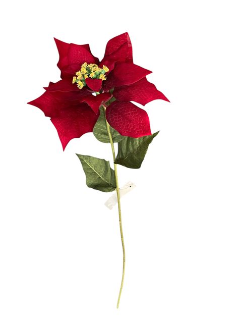 Poinsettia Roja 75cm-2
