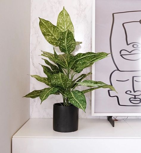 RAMO DE PLANTA COREL ACUBA 55CM-2