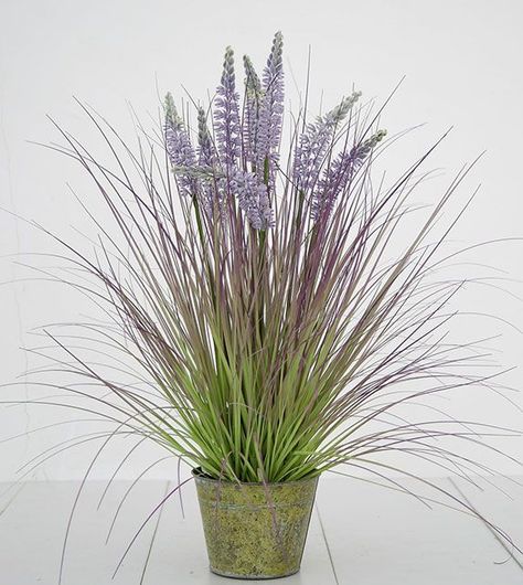 Planta Decorativa Lavanda Pasto Morada  71Cm-0