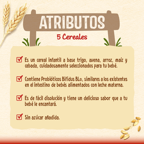 Cereal Infantil NESTUM® 5 Cereales 250g Pack X3-1