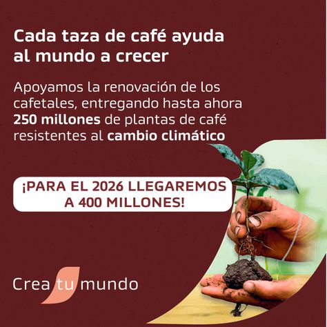Café NESCAFÉ® Tradición Pack 2x170g-4