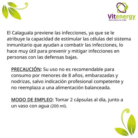 calaguala peruana - 120 capsulas vegetales - depurador-1