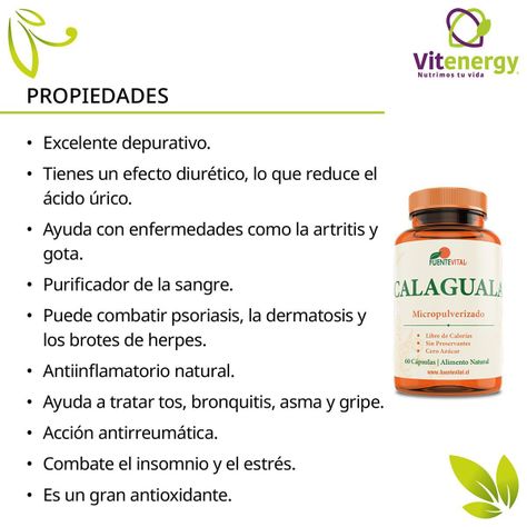  calaguala peruana - 120 capsulas vegetales - depurador-2