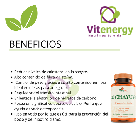 COCHAYUYO 100% - CÁPSULAS VEGETALES - PACK 2-1