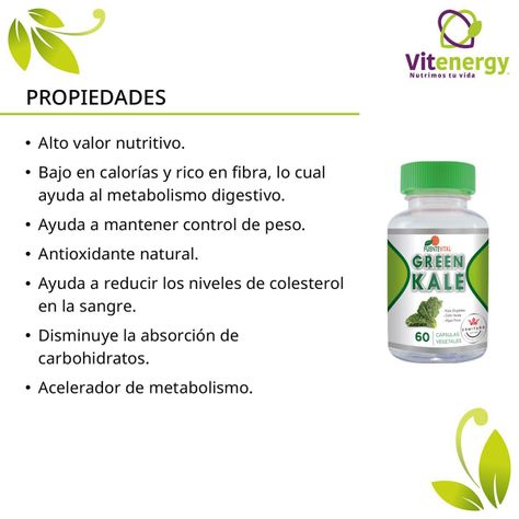 Kale + Té Verde+ Alga Fucus-Digestivo Adelgazante Natural pack 2-1