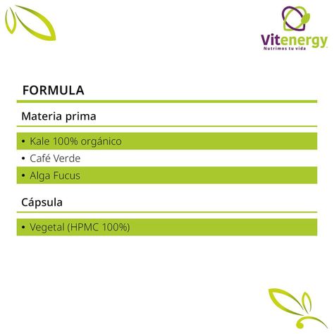 Kale + Té Verde+ Alga Fucus-Digestivo Adelgazante Natural pack 2-4