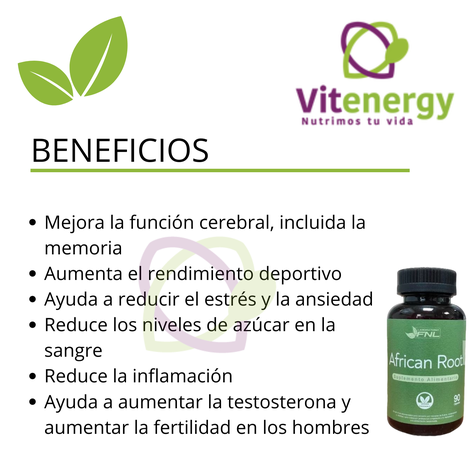 ASSWAGANDHA CÁPSULAS - AFRICAN ROOT FNL - OFERTA PACK x2-1