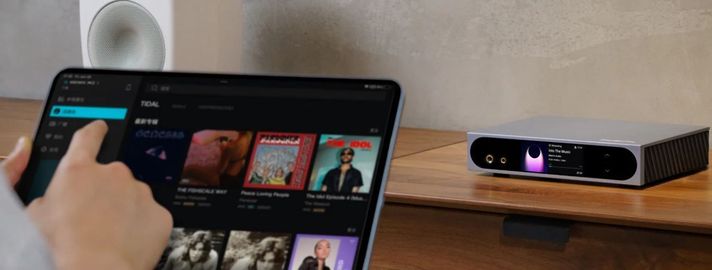 Matrix Audio – Mini-i Pro 4 – Network Music Streamer DAC gre -3