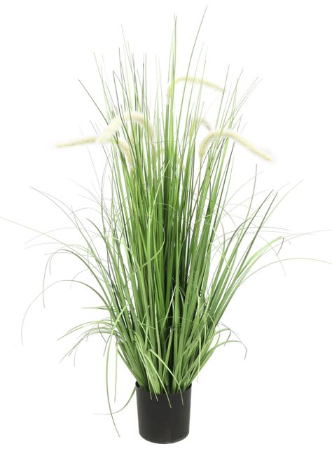 Grass cuerdas de lino Blanco de 90 cm-0