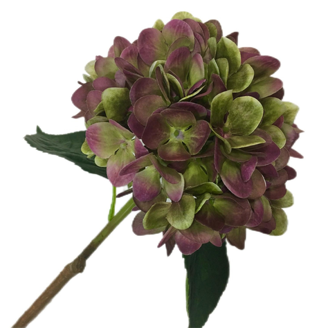HORTENSIA ENVEJECIDA CREMA 70CM-0