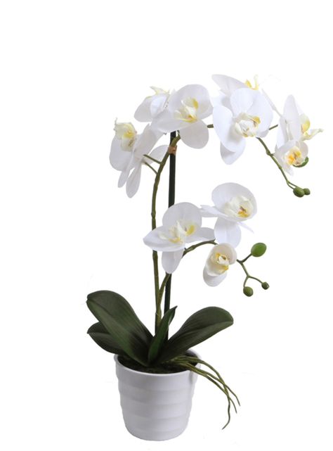 Orquídea blanca 51 cm en macetero-0