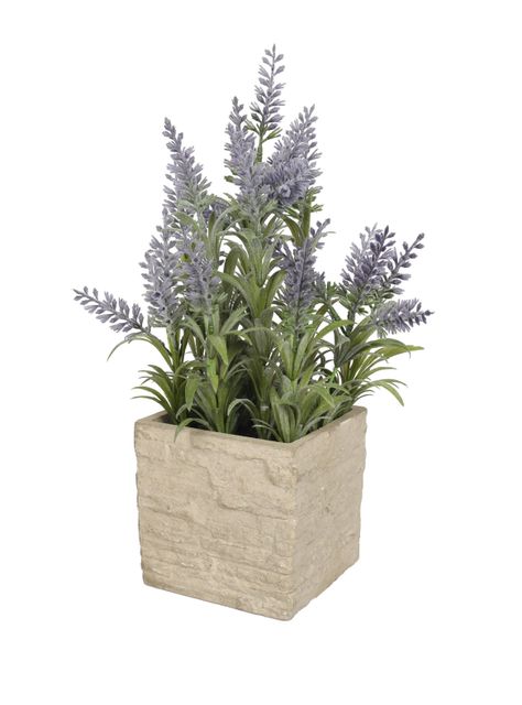 Mini Lavanda morada de 36 cm con macetero-0
