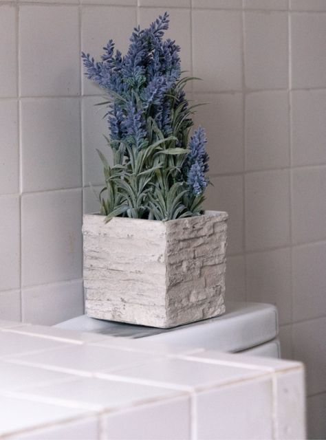 Mini Lavanda morada de 36 cm con macetero-1