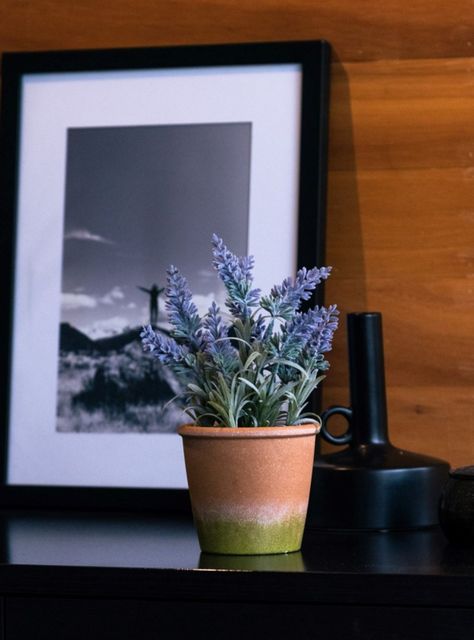 Mini Lavanda morada de 25 cm con macetero-0