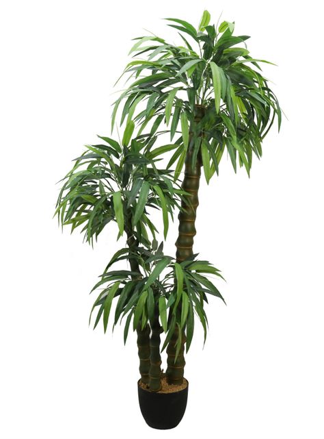 Bamboo Buda de 150 cm-0