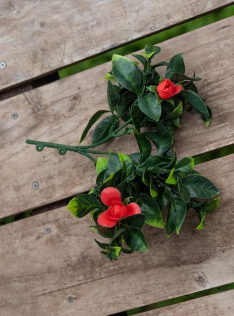 Gardenia roja, rama decorativa de 30 cm con protección UV-1
