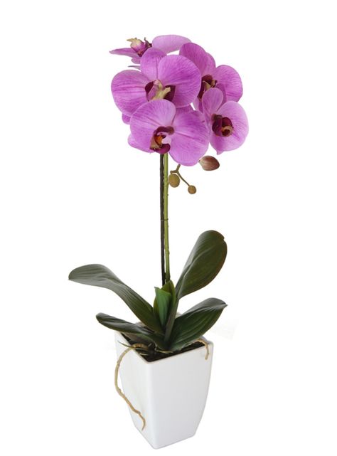 Orquídea morada de 52 cm en macetero-2