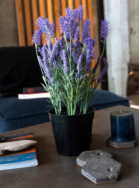 Lavanda lila de 35 cm en macetero-1