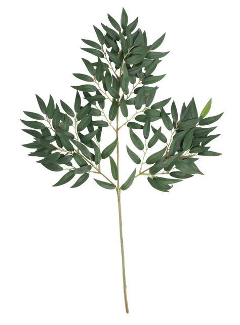 Ficus verde, rama decorativa de 65 cm-0