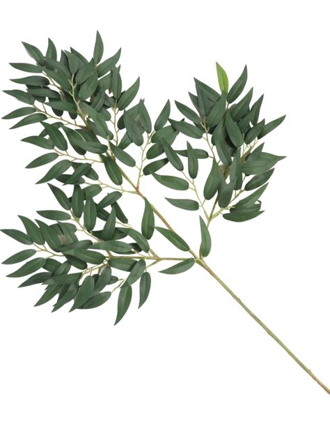 Ficus verde, rama decorativa de 65 cm-2
