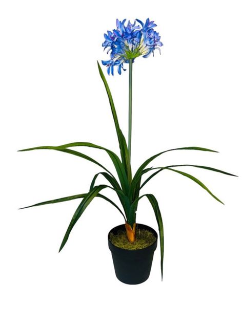 Narciso morado de 80 cm-0