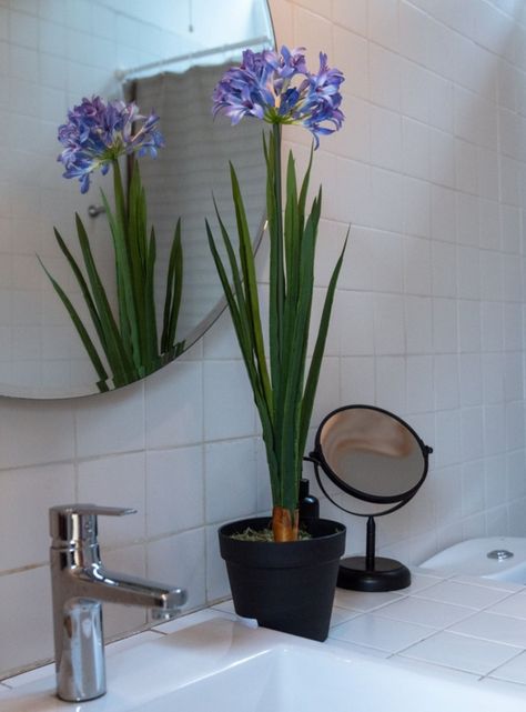 Narciso morado de 80 cm-1