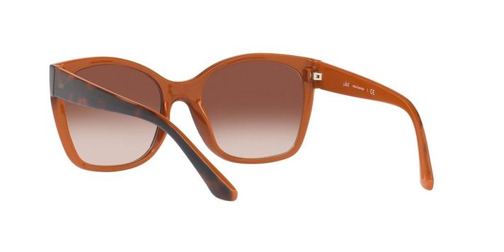 Lentes De Sol Jack JK1036  Havana Mujer-3