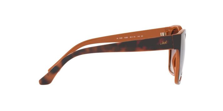 Lentes De Sol Jack JK1036  Havana Mujer-5