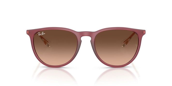 Anteojos De Sol Ray-Ban RB4171 Erika Violeta Mujer-0