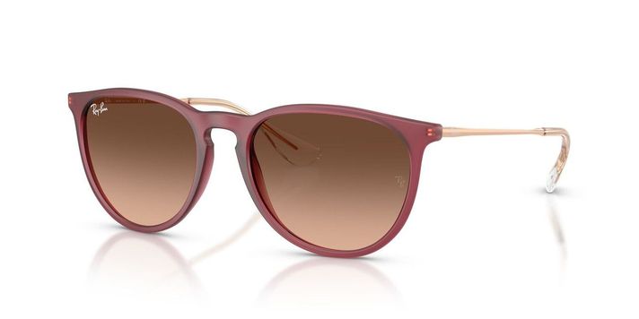 Anteojos De Sol Ray-Ban RB4171 Erika Violeta Mujer-1