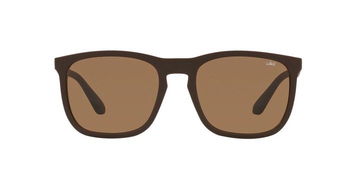 Lentes De Sol Jack Pacific JK1020M  Café Hombre-0