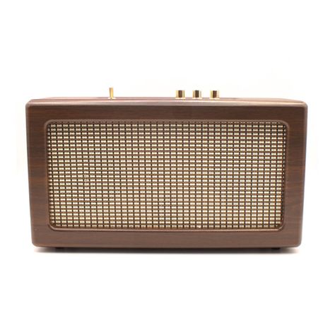 Parlante Retro Portátil 30w Bluetooth - PuntoStore-2