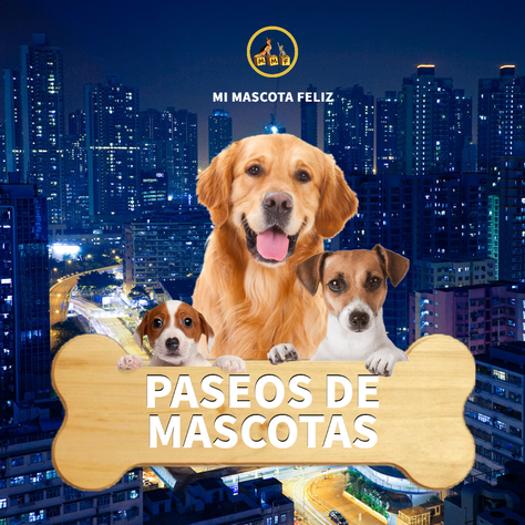 Plan Mensual 20 Paseos Para Mascota Cachorro-2